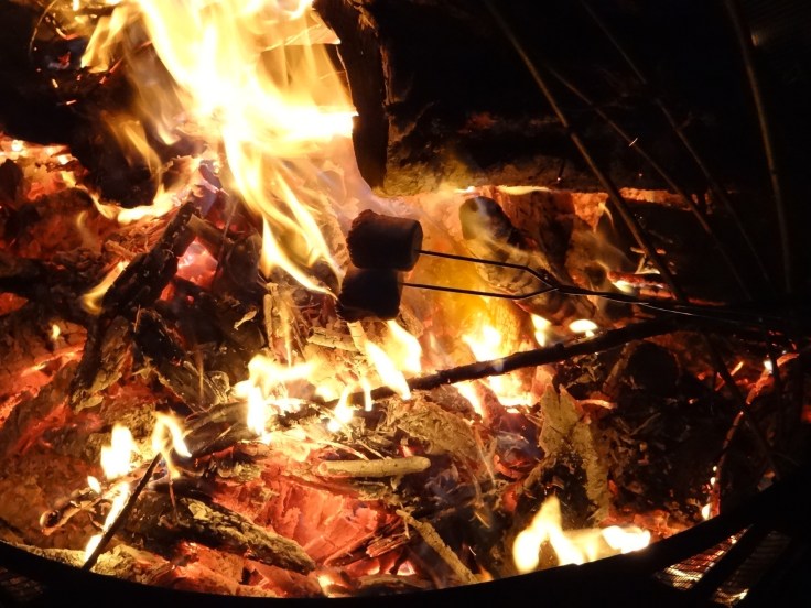 Marshmallows being roasted over a campfire in a fire ring. Photo by Greg Wagner